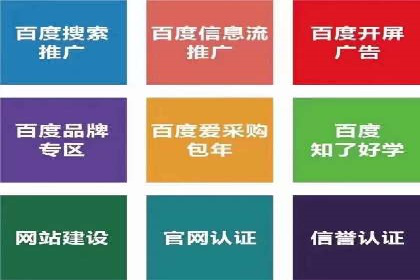 SEM推广公司案例分享：电商品牌崛起之路